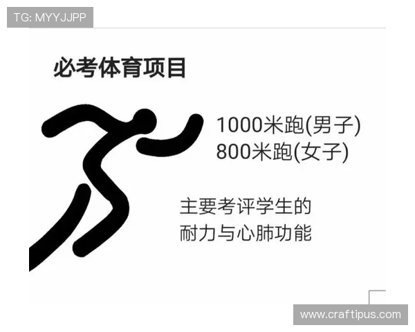 乐动体育app最新版本下载安装指南，全面提升你的体育娱乐体验