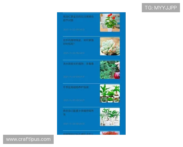 博盈官网app下载，随时随地掌握市场动态与投资机会